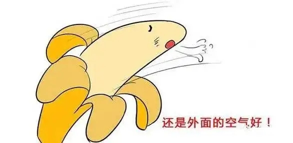 ƤԽץԽWô